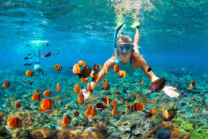 Woman Snorkeling with fish Woman Snorkeling with fish